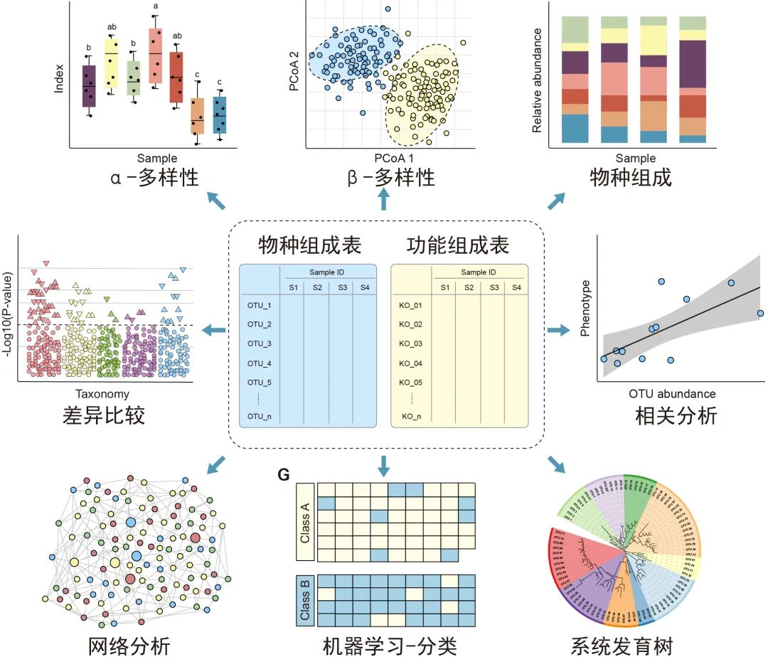 众筹编写《微生物组数据分析与可视化实战》——成为宏基因组学百科全书的创始人 Csdn博客