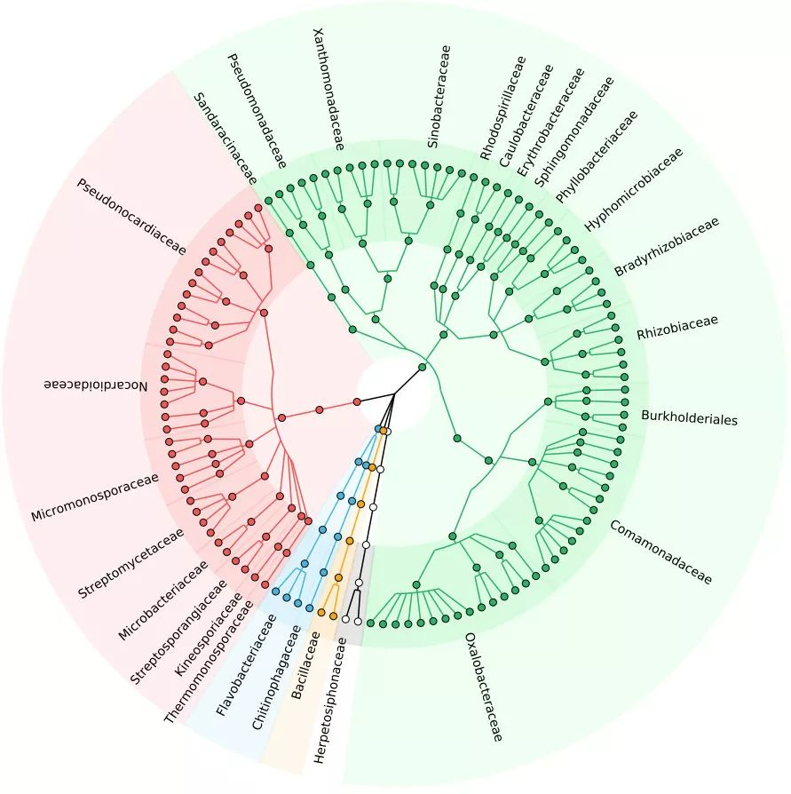 GraPhlAn绘制的超高颜值物种树Cladogram-CSDN博客