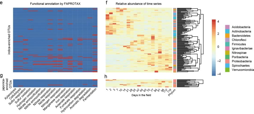 Mat团队文字组审核 Csdn