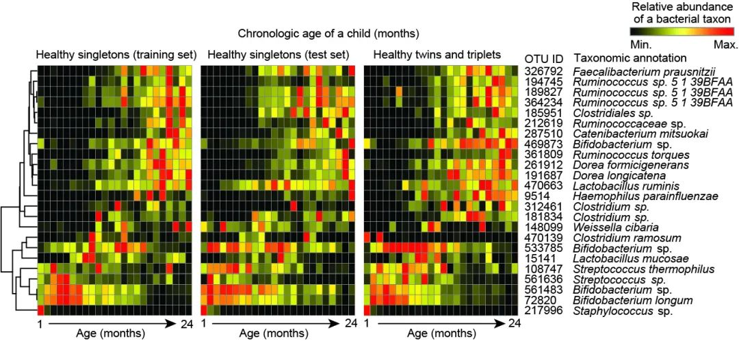 Mat团队文字组审核 Csdn