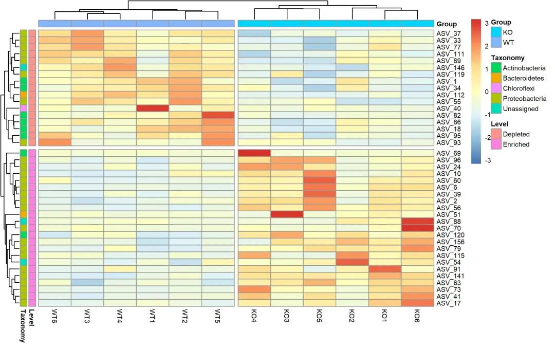 Mat团队文字组审核 Csdn
