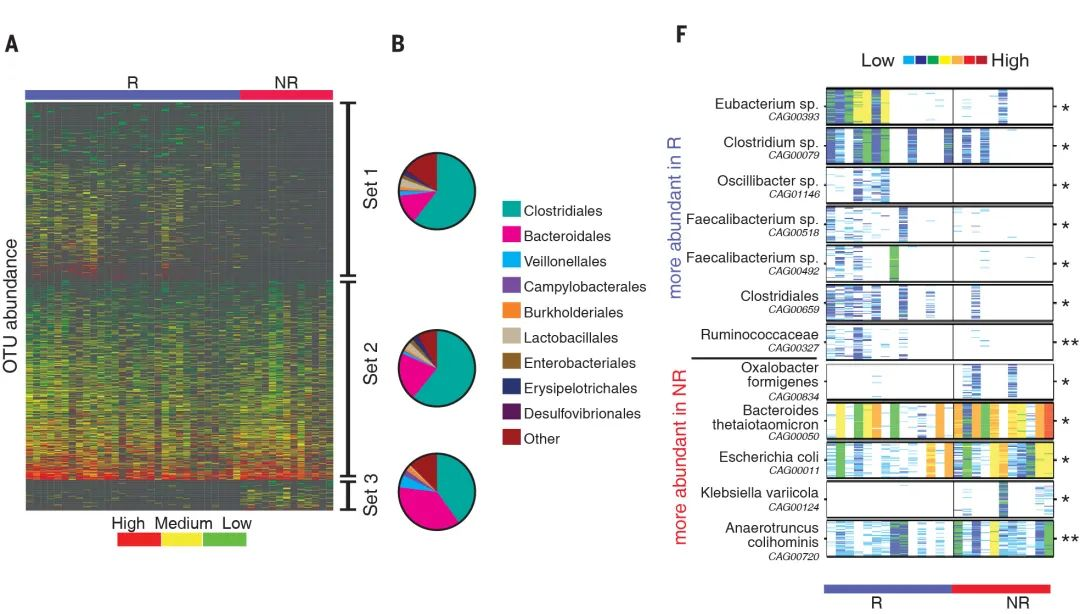 Mat团队文字组审核 Csdn