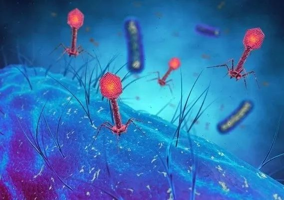 感染了伊拉克细菌的美国病人