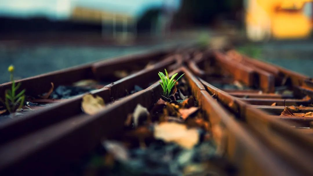 Rails 之旅第1 天 一个令人困惑的rails 错误信息 Linux 中国 技术无边 Csdn博客