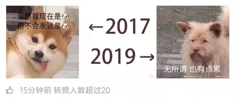 “2017 和 2019的對比”刷屏！各路高手出招，畫風逐漸失控