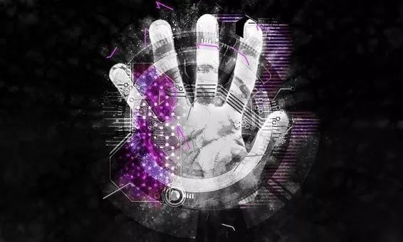 人格权诉前禁令 测试人格 Csdn