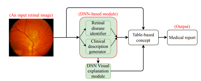 WACV 2021 论文大盘点-医学影像篇_医学图像分类不确定性2023_OpenCV中文网公众号的博客-CSDN博客