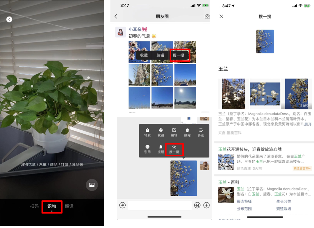 打造万物识别之利器微信扫一扫植物识别篇技术解析