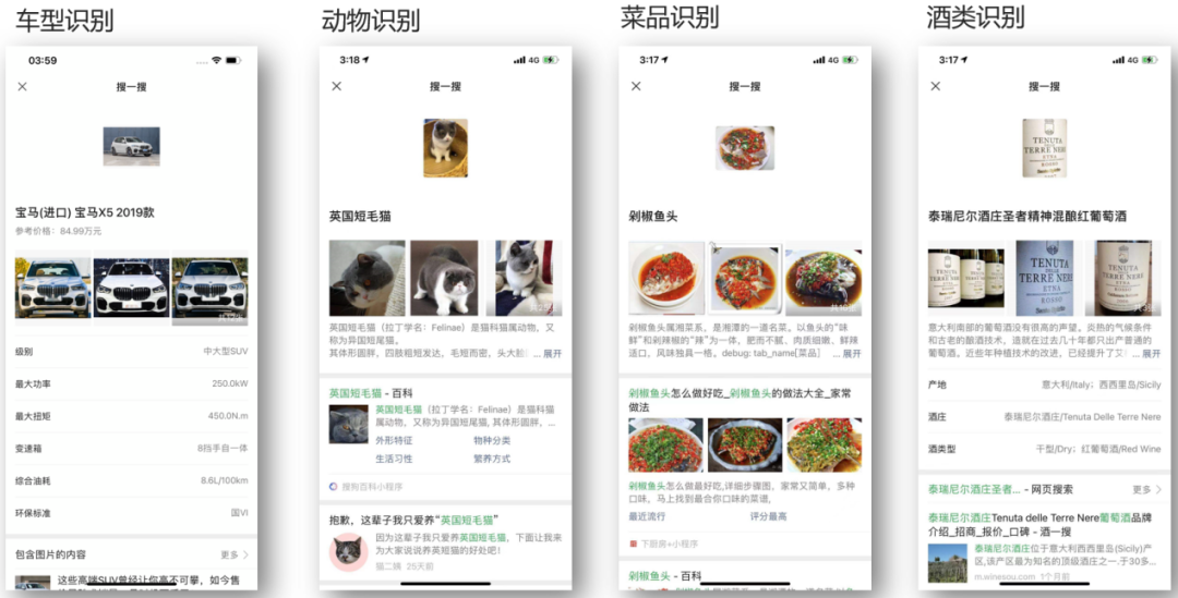 打造万物识别之利器微信扫一扫植物识别篇技术解析