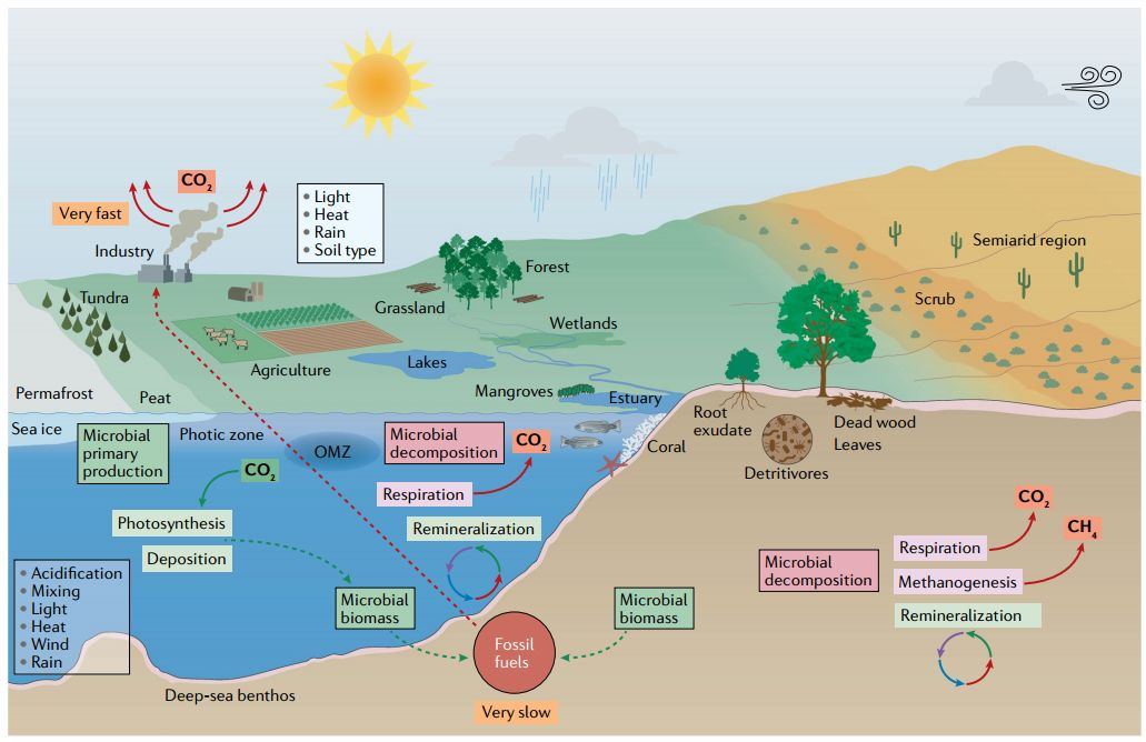 Nature综述 微生物与气候变化 刘永鑫adam的博客 Csdn博客