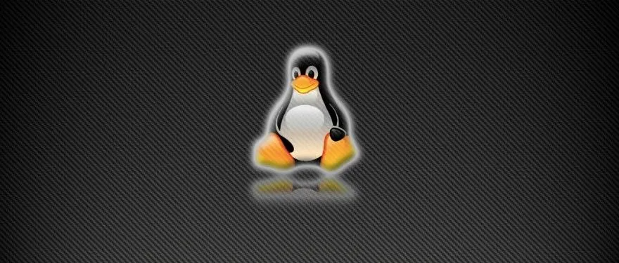 每天一个Linux命令（1）：xargs