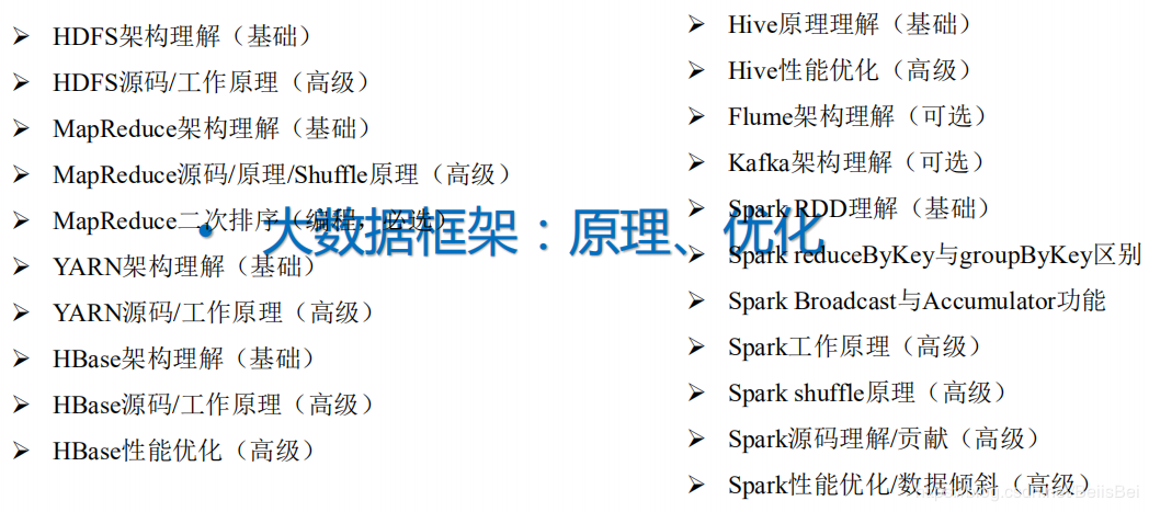 写大数据运维亮点 Csdn