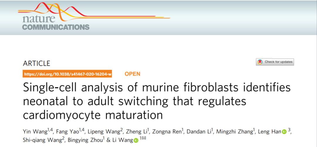 Nc文章详解 鼠成纤维细胞单细胞分析发现成纤维细胞在心肌细胞成熟中起关键作用 生信宝典的博客 Csdn博客