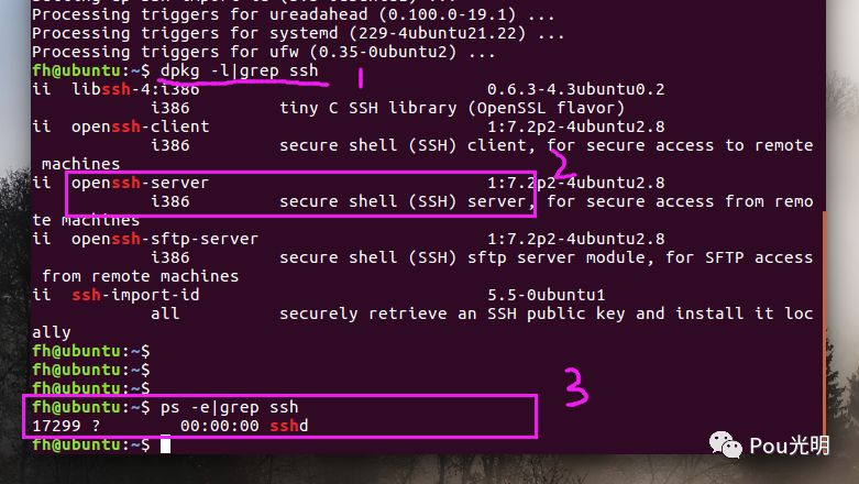 ubuntu 开启ssh服务实现远程登录与文件传输