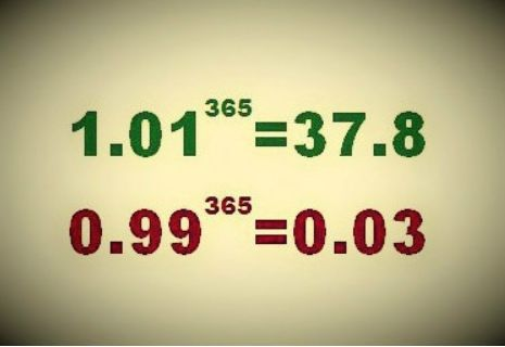 1 01的365次方与0 99的365次方 凌云时刻 程序员宅基地 程序员宅基地