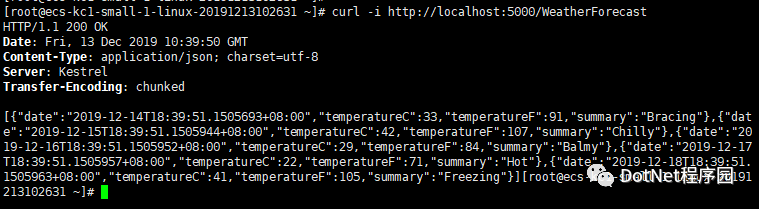 鲲鹏来了,在EulerOS试用.NETCore-3.1