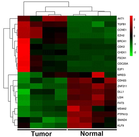 2. mrna表达谱分析
