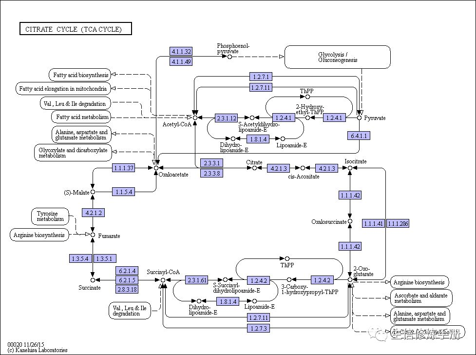 KEGG pathway 数据库-CSDN博客