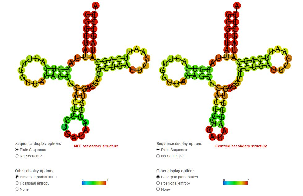 2. centroid secondary structure