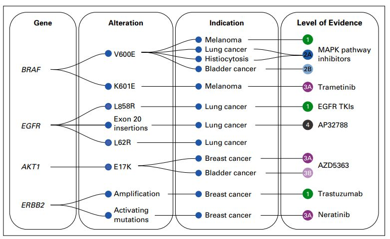 OncoKB:肿瘤药物靶点相关基因组变异数据库-CSDN博客