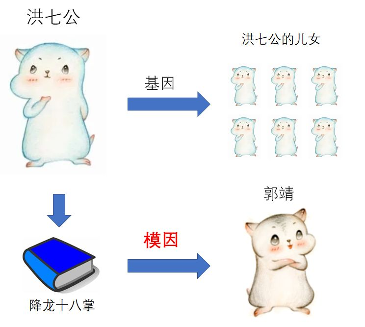 漫画 什么是 模因 程序人生的博客 Csdn博客