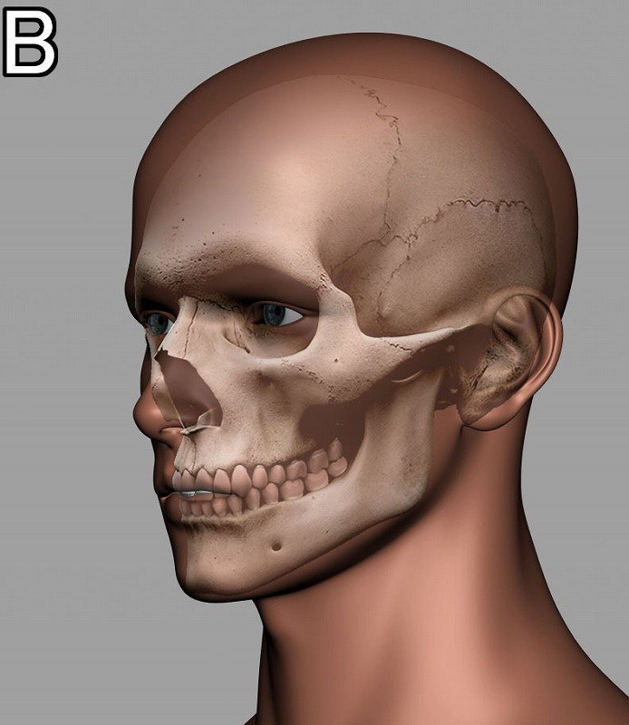 3d建模轻松学人物角色的面部造型详细分解