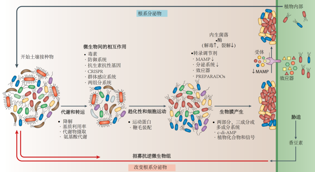 Nature综述 植物与微生物组的相互作用 从群落装配到植物健康 下 刘永鑫的博客 宏基因组公众号 Csdn博客