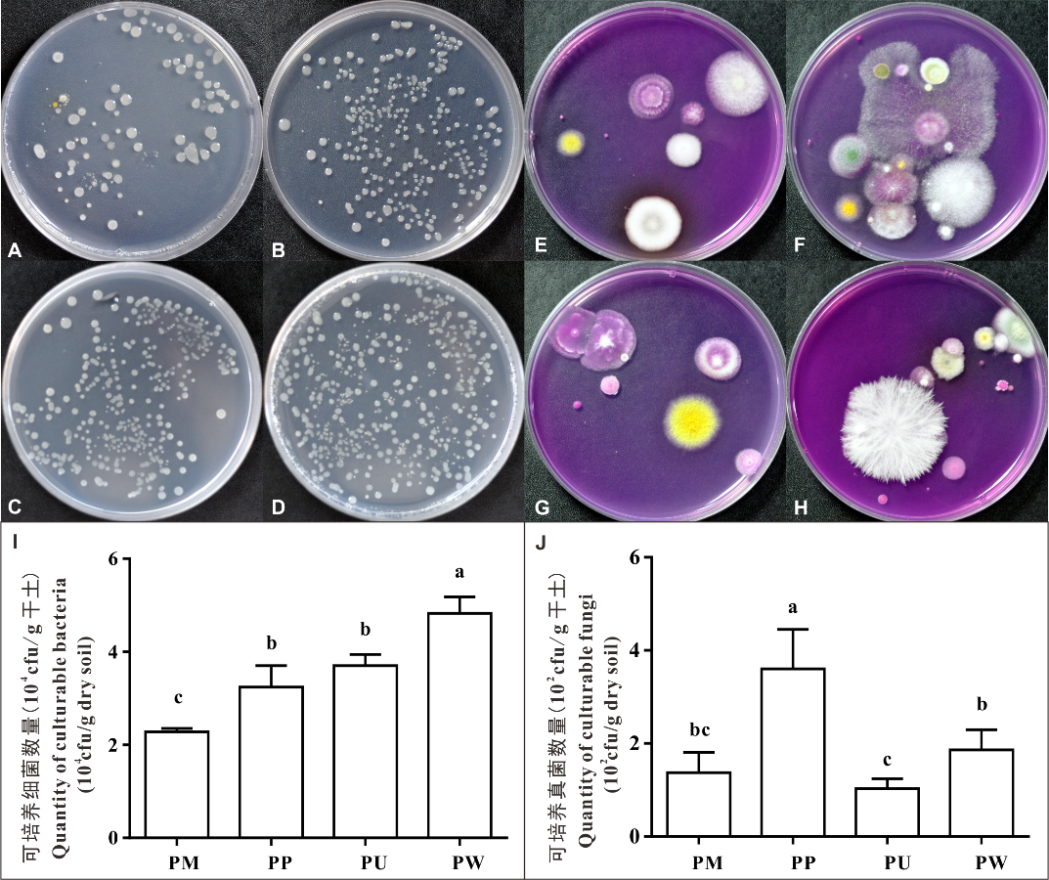 mpb林科院袁志林组提取杨树人工林土壤微生物菌体细胞的4种方法