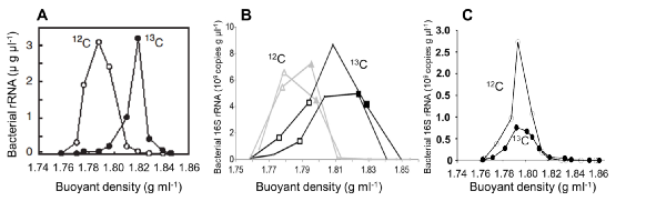 MPB：西湖大学鞠峰组-微生物群落RNA稳定同位素探针技术 (RNA-SIP)-CSDN博客