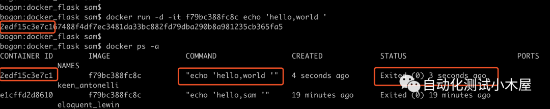 docker run命令执行脚本,容器Exited (0)”自动退出_docker run 执行容器内脚本后容器死掉-CSDN博客