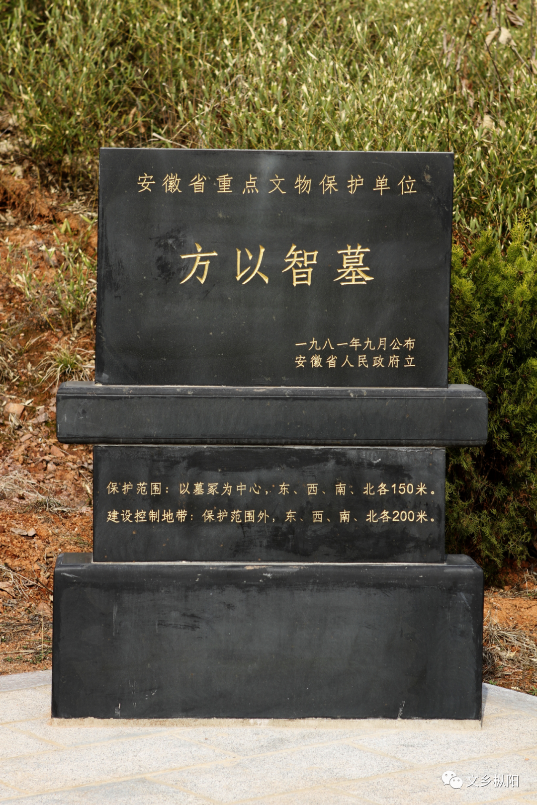 田野调查手记浮山篇七