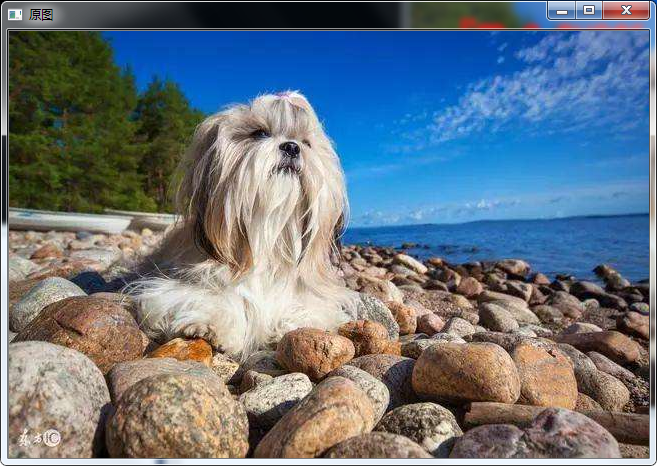 Opencv opencv Puttext M CSDN 