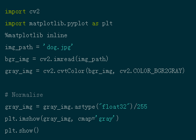 用 pytorch 理解卷积网络