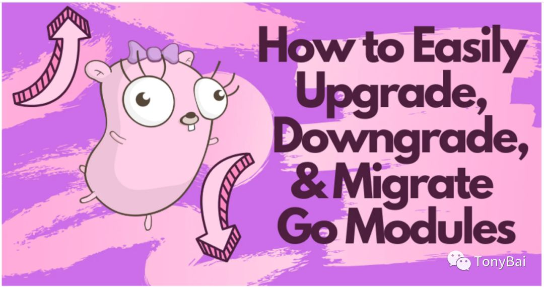 Gopher Daily (2020.03.09) ʕ ϖ ʔ-CSDN博客