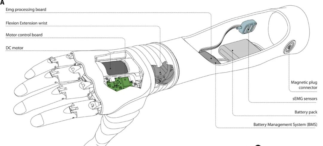 类似人手的手部假肢相关研究登上Science子刊封面_the hannes hand prosthesis replicates the ...