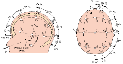 10-20国际标准导联系统_脑电帽10-20 128导-CSDN博客