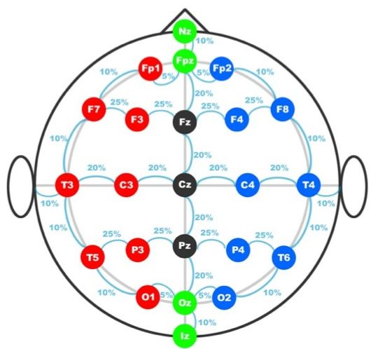 10-20国际标准导联系统_脑电帽10-20 128导-CSDN博客