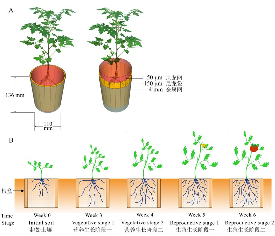 Microbiome：韦中组揭示根际原生动物群落是决定植物健康的关键因素-CSDN博客
