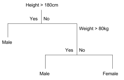 平均体重180cm