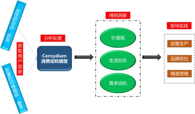 Карта мотивации потребителей censydiam
