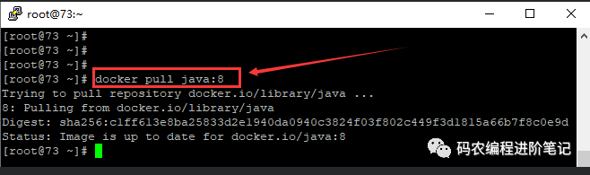 Docker 零基础从入门到使用