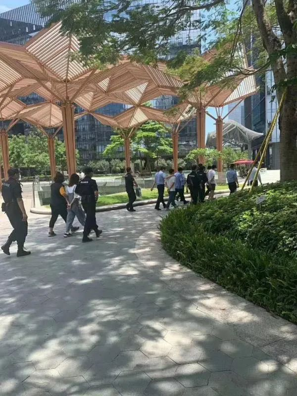 写着写着代码就被带上了警车面试码农小胖哥-