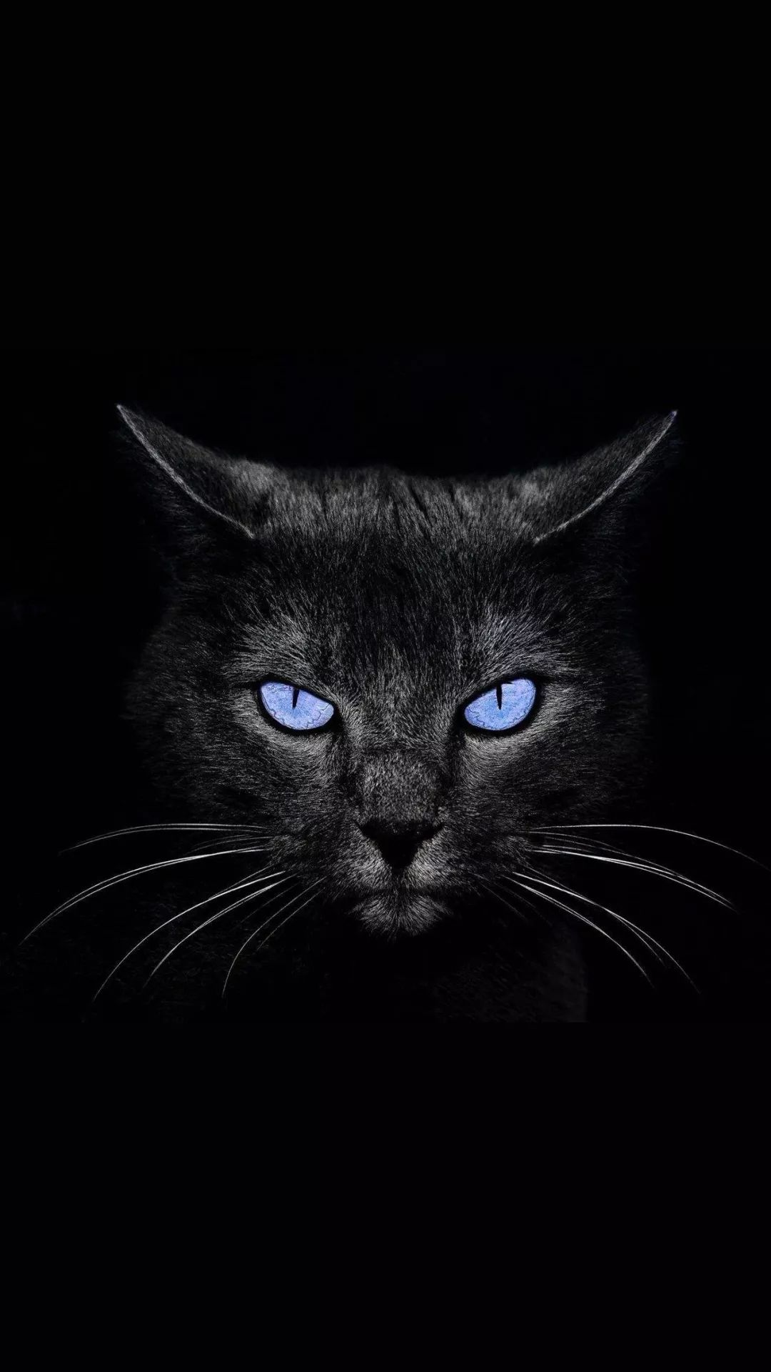 苹果睁眼壁纸太酷了,点亮屏幕就睁眼,喜欢的拿去吧!