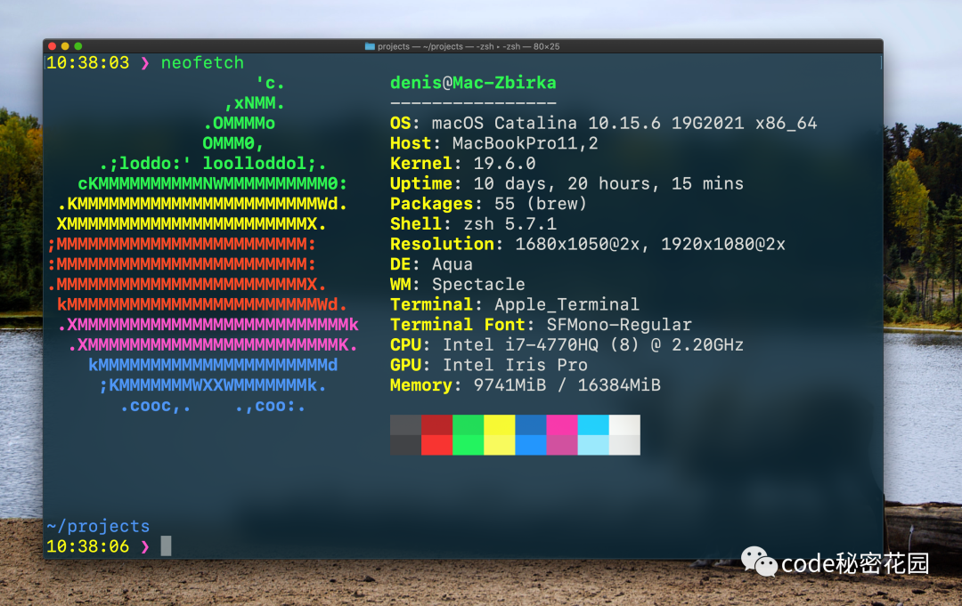 实用的 bash 自定义脚本,快速提效工作流程
