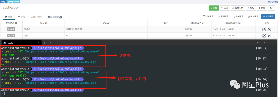 .NET Core 下使用 Apollo 配置中心