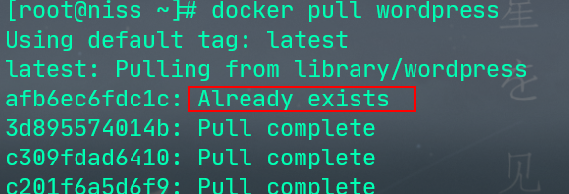 image-20200606003828220