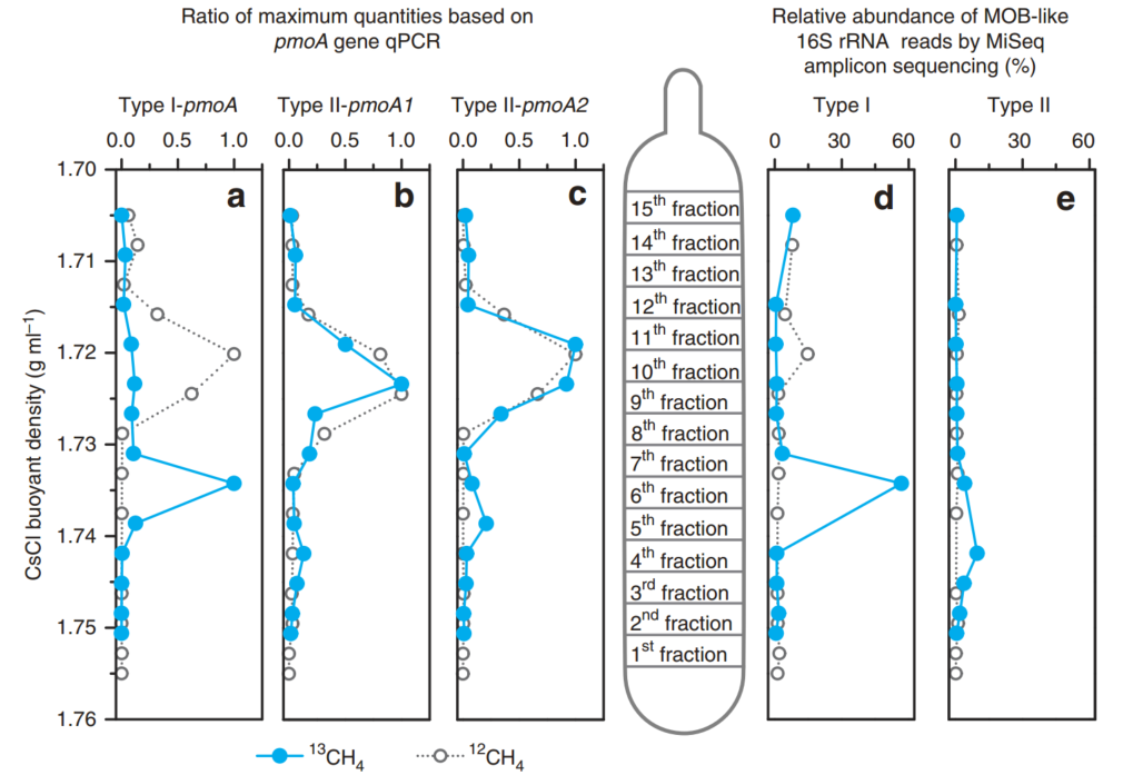 Nature子刊：南土所贾仲君组-稻田甲烷氧化的微生物机制_methylocystis-CSDN博客