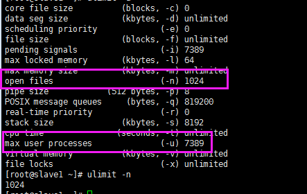 Java部署要考虑的centos场景优化 董广明的博客 Csdn博客