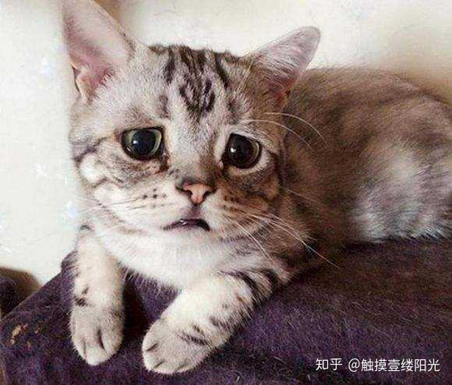 python划分训练集、验证集和测试集