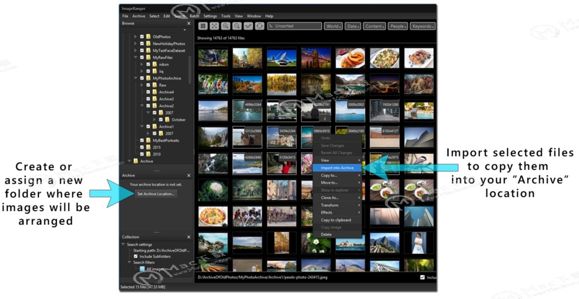 ImageRanger Pro Edition 1.9.4.1874 for mac download
